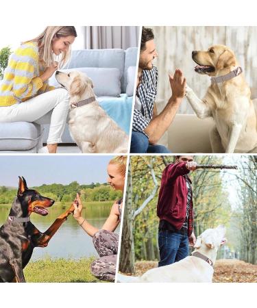 Rose Gold Dog Collar and Lead(2m) Set | Exceptionally Elegant & Adjustable | 3 Adjustable Lengths Dog Leash | Soft and Easy to Clean L(15.7"-25.6") Beige - Buy Online on GoSupps.com