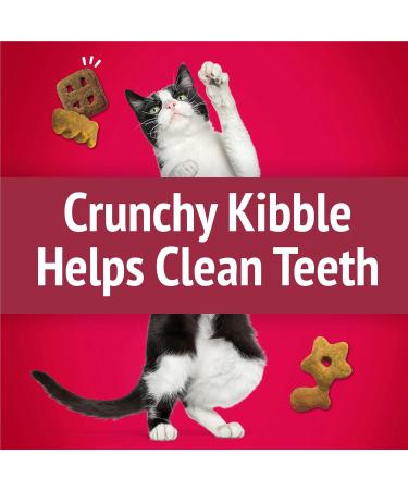 Friskies Party Mix Cat Treats Mixed Grill Crunch with Real Chicken - 454 g Cannister (1 Pack) 454 g (Pack of 1) - Buy Online on GoSupps.com