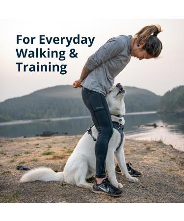 Ruffwear Front Range Dog Harness | Reflective Y-Harness | Adjustable & Comfortable for Walks | L/XL in Basalt Gray - Buy Online on GoSupps.com