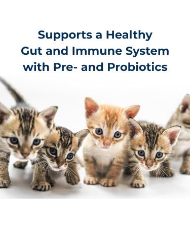 Pet-Ag KMR Kitten Milk Replacer Powder 12 oz Pack of 3 - Formula for Newborn Kittens - Easy to Digest & Enriched with Prebiotics, Probiotics, and Vitamins - Buy Online on GoSupps.com