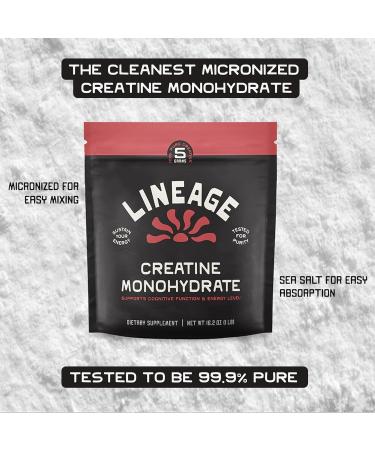 Lineage Provisions Micronized Creatine Monohydrate with Sea Salt - Micronized Creatine Powder for Training & Performance No Artificial Ingredients 90 Servings - Buy Online on GoSupps.com