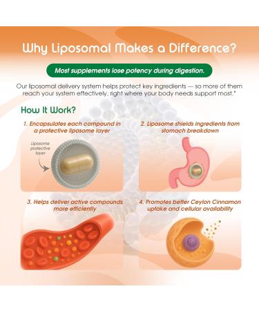 Liposomal Ceylon Cinnamon with Turmeric & Apple Cider Vinegar Supports Heart Digestion & Metabolism 150 Capsules 150 count (pack of 1) - Buy Online on GoSupps.com