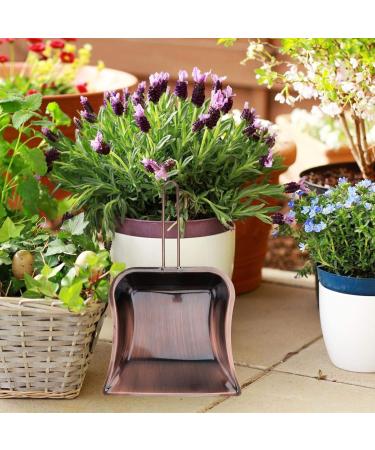 Stainless Steel Dustpan Metal Pan Stainless Steel Dustpan Metal Pan Decorative Dustpan for Household Cleaning Supply Cleaning Sweeping Kitchen Bronze dustpan Light Brown - Buy Online on GoSupps.com