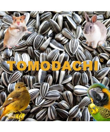 Tomodachi Chicken Food - Sunflower Seed Snacks & Daily Feed | 1kg Bucket | Premium Bird Feed - Buy Online on GoSupps.com