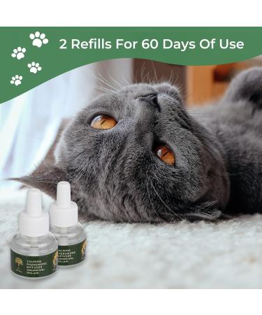 Daintry Cat Calming pack of two Refills for Diffuser With Sunflower Smell .Diffuser not included - Buy Online on GoSupps.com