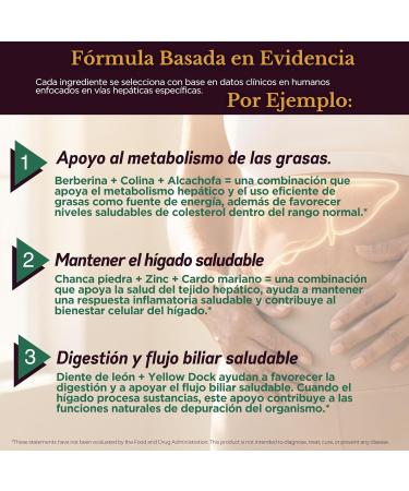 TODICAMP Liver Health with Milk Thistle Artichoke Extract Choline - Advanced Liver Detox Capsules for Liver Cleanse (Liver Support Capsules (Unflavored)) - Buy Online on GoSupps.com