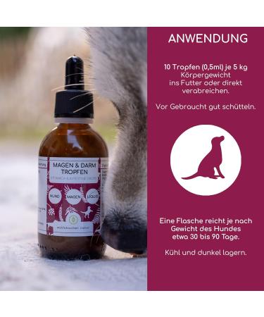 Natural Gastrointestinal Drops for Dogs | Fast & Reliable | With Probiotics & Milk Thistle Oil for Acute & Frequent Gastrointestinal Disorders - Buy Online on GoSupps.com