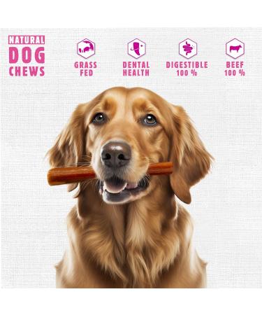Premium Bully Sticks for Dogs - All-Natural Beef Pizzle Sticks for Puppies to Medium Dogs Dental Chew Treats for Healthy Teeth and Gums Fully Digestible Gluten-Free (Thin 12-15 cm 250gr) Thin-Regular 15 count (Pack of 1) - Buy Online on GoSupps.com