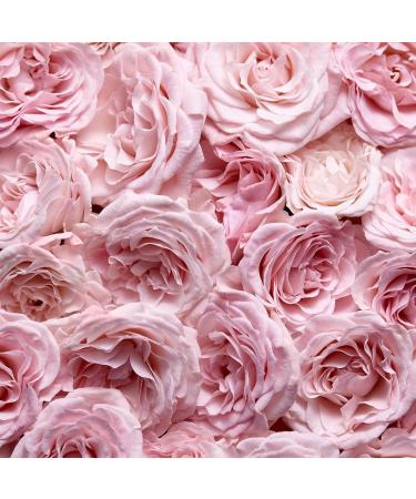 Escada Especially Eau De Parfum Women's Floral Perfume With Notes of Rose Petals & Pear Long Lasting Fragrance 2.5 Fl Oz (Pack of 1) - Buy Online on GoSupps.com