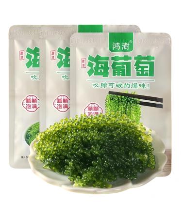 Raisins de mer (100 g x 3 paquets) - Algues d shydrat es Umibudo caviar vert plats d'accompagnement cornichons instantan s l gumes ingr dients chauds algues lato raisins de mer pour manger un