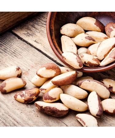 The Amish Eco-Farm Medium Brazil Nuts - Raw & Fresh 5lb Jar - Buy Online on GoSupps.com
