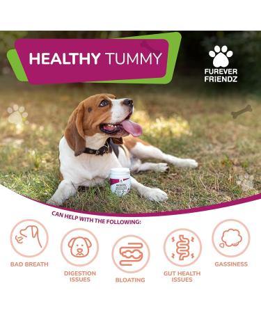 Chicken & Bacon Flavour Probiotic Powder for Dogs | Digestive Supplements by Furever Friendz | Gluten & Dairy-Free | 100g - Buy Online on GoSupps.com