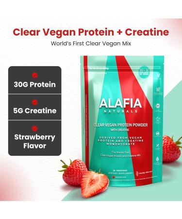 Alafia Naturals Clear Vegan Protein Powder with Creatine 30g Protein 5g Creatine 6g BCAA 0g Lactose Sugar Free Dairy Free Plant Based Strawberry 20 Servings - Buy Online on GoSupps.com