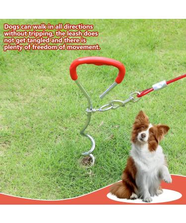EfuturTime Large Dog Plot with 6m Leash | Durable Base Piral Anchor for Outdoor Camping & Farm | Perfect for Small to Large Dogs - Buy Online on GoSupps.com