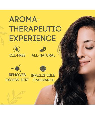 LULU_ORGANICS All-Natural Dry Shampoo 1 oz - Talc-Free & Unscented for Oily Hair - Buy Online on GoSupps.com