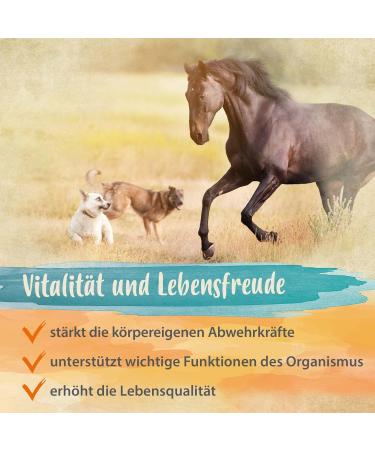 Ida Plus Beer Yeast Powder 500g - 100% Natural Dog Cat & Horse Supplement for Shiny Fur & Healthy Skin - Rich in B Vitamins & Minerals - Buy Online on GoSupps.com