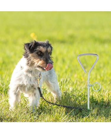 Balacoo Pet Stake Spiral Tie-Out Pet Supply Stake Dog Leash Anchor Stakes with Spiral Shape Suitable for Outdoor Yard and Camping Small Medium and Large Pets - Buy Online on GoSupps.com