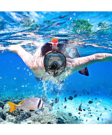 180 Panoramic View Full Face Snorkel Set - Tempered Glass Diving Gear in Black Blue - Buy Online on GoSupps.com