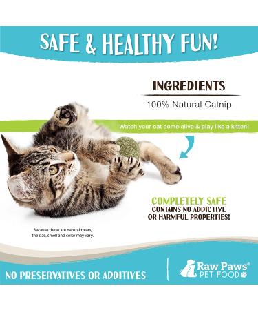Raw Paws Compressed Catnip Ball Toy 6 Pack for Indoor Cats - All Natural Catnip Interactive Kicker Toy - Catnip Cat Toys for Kitties - Buy Online on GoSupps.com