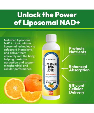 NAD+ Liquid Supplement - Liposomal NAD+ Boost for Healthy Aging Longevity & Cellular Energy - Nicotinamide & Resveratrol Complex for Brain & Mitochondrial Support - Vegan Sugar Free 4 fl oz 4 Fl Oz (Pack of 1) - Buy Online on GoSupps.com