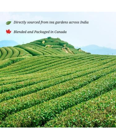 CJay Imperial Scottish Breakfast tea | Whole Leaf tea bags | 40 tea bags | Eco-conscious packaging | Non GMO Gluten Free | Premium bold black teas grown in India | Resealable Pouch 40 Whole leaf Tea bags Scottish Breakfast - Buy Online on GoSupps.com