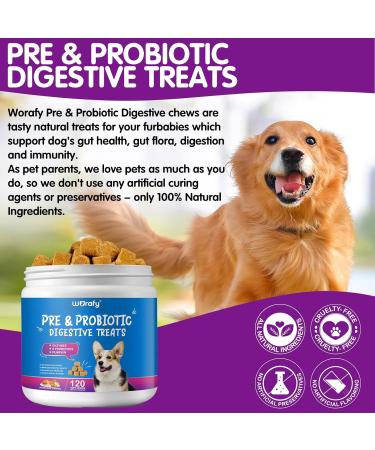 Dog Probiotics Chewables-Gut Health Probiotics - Support Gut Health Itchy Skin Seasonal Allergies and Yeast with Each Tasty Chew -Safe for Small Medium and Large Dogs-120 Pieces Chewable Probiotics - Buy Online on GoSupps.com