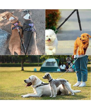 1 piece double dog lead Dual Pet Training Leash Dual Dog Leash Adjustable Dog Leash Splitter Tangle-Free Dual Dog Distribution Leash Suitable for Walking 2 Small to Medium Dogs Black - Buy Online on GoSupps.com