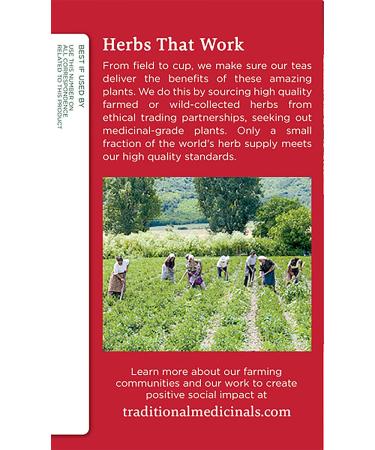 Traditional Medicinals Gypsy Cold Care Tea - 16 Caffeine-Free Wrapped Bags (0.99 oz) for Seasonal Relief - Buy Online on GoSupps.com