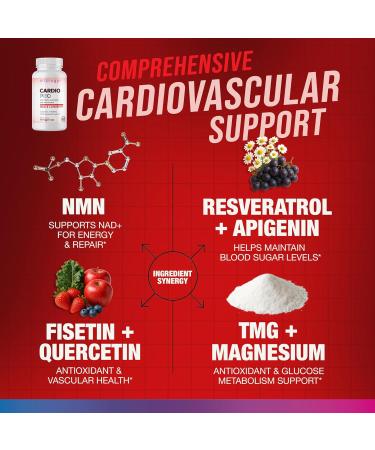 Vitology N.A.D.+ Longevity Cardiovascular Support Supplement with NMN, NR, Resveratrol, Fisetin, Quercetin, TMG & Apigenin Promote Healthy Heart Function & N.A.D.+ Levels 60 Veggie Capsules - Buy Online on GoSupps.com
