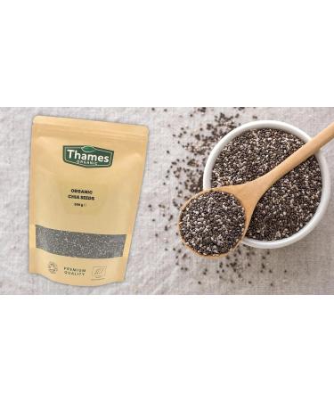 Organic Chia Seeds 250g - Pack of 1 | Premium Quality Superfood - Buy Online on GoSupps.com