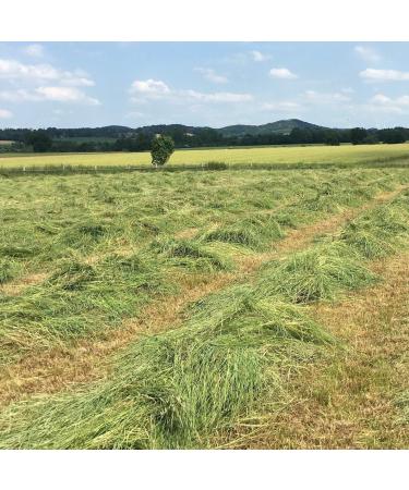 Your Hayloft 4kg Meadow Hay & Bedding for Rabbits Guinea Pigs Hares & Hamsters - Premium Farm-Fresh Rabbit Food for International Delivery - Buy Online on GoSupps.com
