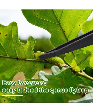 8 Pieces Venus Fly Trap Feeding Tweezers Carnivorous Plant Feeding Tongs Straight and Curved Food Tongs for Flytraps Pitcher Plants Butterwort Reptile Feeding - Buy Online on GoSupps.com