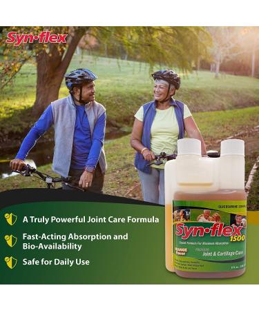 1500mg Liquid Glucosamine & Chondroitin - High Concentration Fast-Absorbing Formula Orange Flavor Helps Support Joint & Cartilage Health - with White Willow Bark Manganese & Boswellin (32 Day Supply) - Buy Online on GoSupps.com