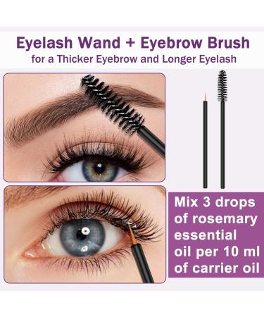 Organic Rosemary Oil for Hair Growth - 100% Pure Essential Oil with Hair Roller | Non-Greasy Hair Growth Serum for Women & Men - Eyebrow, Eyelash and Scalp Care - Buy Online on GoSupps.com