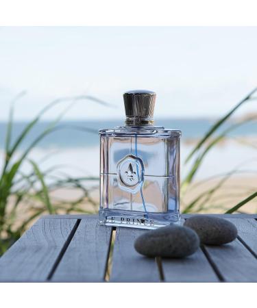 Princesse Marina de Bourbon Monsieur Le Prince Elegant Eau de Parfum for Men - Opens with Mint and Bergamot Blended with VIolet Leaf and Geranium - Exudes Hypnotic Charm - 3.4 oz - Buy Online on GoSupps.com