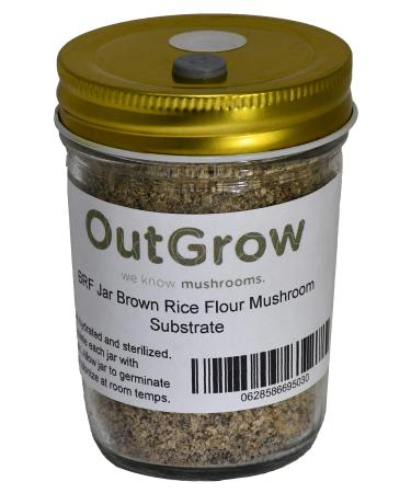 BRF Jars Brown Rice Flour Mushroom Substrate