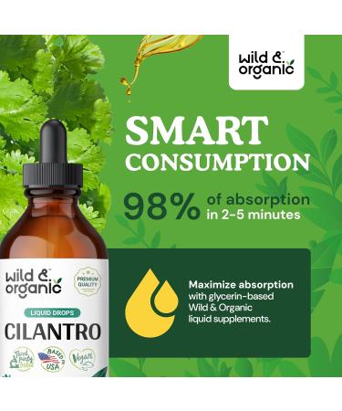 Wild & Organic Cilantro Tincture - Vegan Detox Cleanse Supplement - Alcohol-Free Antioxidants - 4 oz Cilantro Drops for Detox & Wellness - Buy Online on GoSupps.com