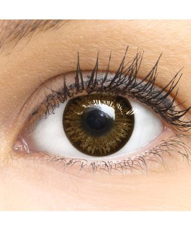 Dark brown color contact lens choco dark brown very strongly covering silicone comfort novice from glamlens + container - 1 pair (2 pieces) - dia 14.00 - Without strength 0.00 diopttries 8.6 millimeters 14.50 millimeters 2.0 - Buy Online on GoSupps.com