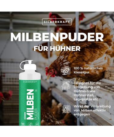 Silver Power Mite Powder 100g - Effective Mite Protection for Chickens & Birds | Anti-Mite Solution Against Red Bird Mite | Guaranteed Defense - Buy Online on GoSupps.com