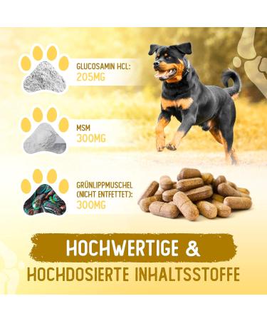 Animal Power Joint Tablets for Dogs - 100 pcs Made in Germany | Green Lipped Mussel Teufels Claw & MSM for Joint & Bone Protection - Buy Online on GoSupps.com