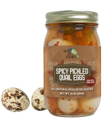 Green Jay Gourmet Spicy Pickled Quail Eggs in a Jar  Fresh Hand Jarred for Cooking & Pantry  Full Spicy Flavor - Simple Natural Ingredients - 16 Ounce Jar Spicy 1 Pound (Pack of 1)