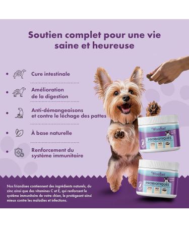 Woofies Probiotics Digestive Treats for Dogs - 90 Pieces - Strengthens Intestinal Flora and Improves Immune System - 100% Natural Prebiotic Ingredients (Beef) - Buy Online on GoSupps.com