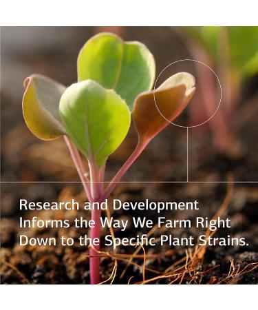 Standard Process Phosfood Liquid Bone Health Phosphorus Supplement (2 fl. oz.) - Buy Online on GoSupps.com