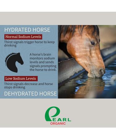 Buy 8 lbs Himalayan Salt Lick on Rope for Horses Deer Rabbits & Livestock | Digestive Aid & Treats for Animals - Buy Online on GoSupps.com