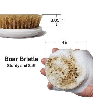 Selyback 17.8 Body Brush with Attachable Brush Cap - Boar Bristle - Water Removal Design - Buy Online on GoSupps.com