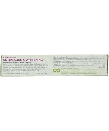 Buy Toms Of Maine Antiplaque Tartar Control Spearmint Whitening Toothpaste - 5.5 oz | International Shipping Available - Buy Online on GoSupps.com
