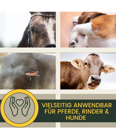 First Aid Set for Animals | Silver Spray & Zinc Ointment for Horses Cows & Pets | Wound Healing & Disinfection Spray | 250ml & 200ml - Buy Online on GoSupps.com