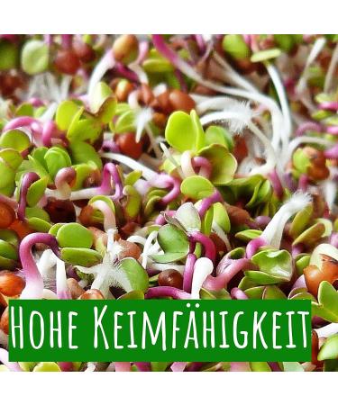 Wohltuer Organic Watercress Seeds 200g - Buy Online on GoSupps.com