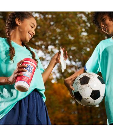 Wet Ones Antibacterial Hand Wipes Fresh Scent 40 ct. Canister (6 pack) - Buy Online on GoSupps.com