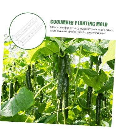 SUPVOX Horticulture 3pcs Forming Watermelon Shaper DIY Modeling Pizza Fruits Tool for Stereotypes - Buy Online on GoSupps.com
